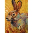 thumbnail image 1 of Toland Home Garden Jack Rabbit Bunny Rabbit Flag Double Sided 28x40 Inch, 1 of 5