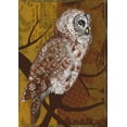 thumbnail image 1 of Toland Home Garden Night Owl Bird Fall Flag Double Sided 12x18 Inch, 1 of 5