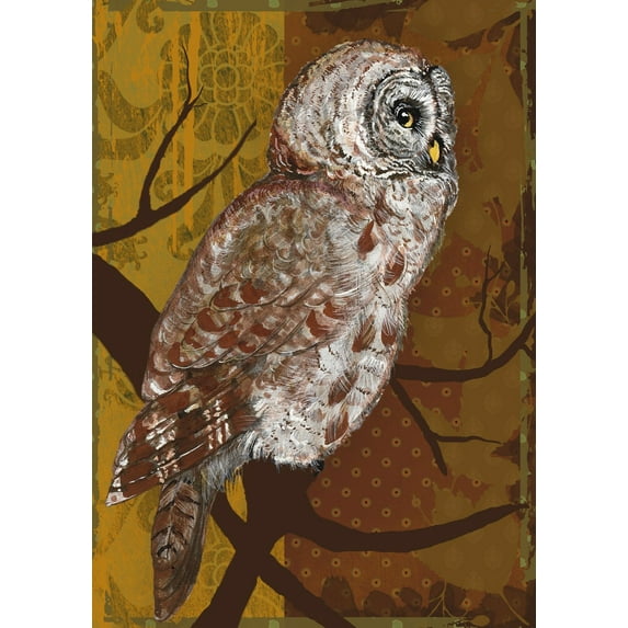 Toland Home Garden Night Owl Bird Fall Flag Double Sided 12x18 Inch