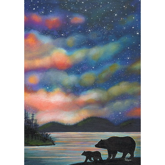 Toland Home Garden Northern Lights Bear Flag Double Sided 28x40 Inch