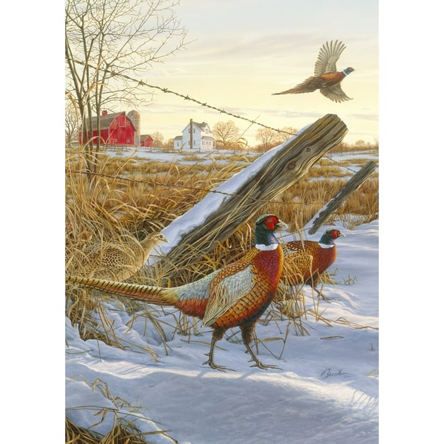 Toland Home Garden Pleasant Pheasants Bird Winter Flag Double Sided 28x40 Inch