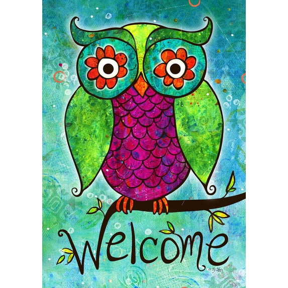 Toland Home Garden Rainbow Owl Bird Welcome Flag Double Sided 12x18 Inch