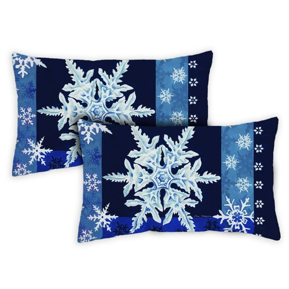 Toland Home Garden Set of 2 Cool Snowflakes Winter Pillow Covers 12x18 Inch Snowflake Throw Pillows