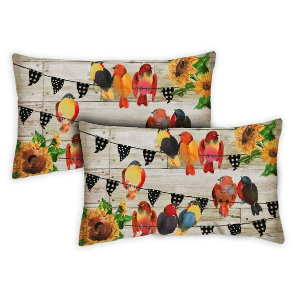 Toland Home Garden Set of 2 Farmhouse Birds Spring Pillow Covers 12x18 Inch Bird Throw Pillows