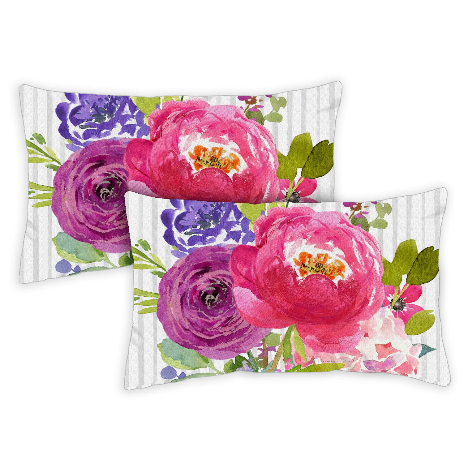 Toland Home Garden Set of 2 Painted Petals Spring Pillow Covers 12x18