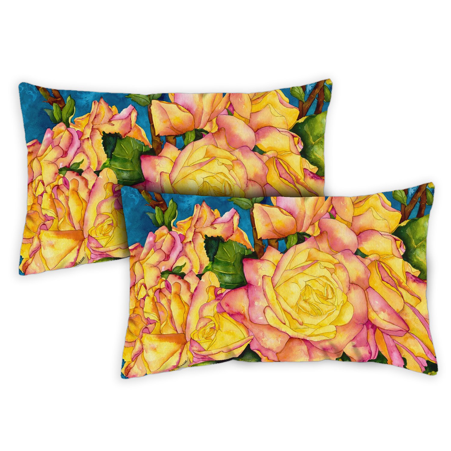 Toland Home Garden Set of 2 Radiant Roses Spring Pillow Covers 12x18