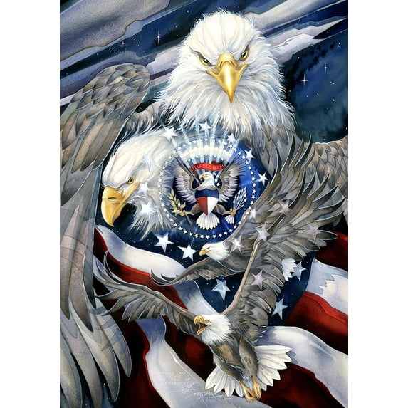 Toland Home Garden Soaring Eagles Military Patriotic Flag Double Sided 28x40 Inch