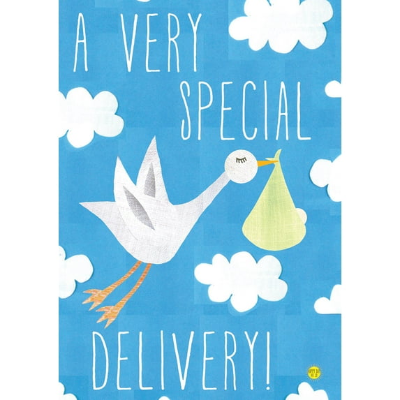 Toland Home Garden Special Delivery-Boy House Flag