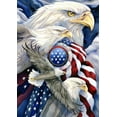 thumbnail image 1 of Toland Home Garden Stand In Unity Bald Eagle Patriotic Flag Double Sided 28x40 Inch, 1 of 5