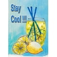 thumbnail image 1 of Toland Home Garden Stay Cool Lemonade House Flag, 1 of 5
