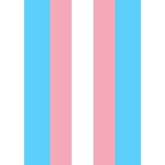 Toland Home Garden Transgender Pride LGBTQIA+ Pride Flag Double Sided 28x40 Inch