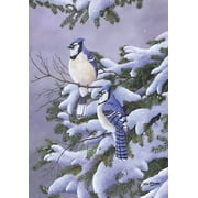 Toland Home Garden Two Blues Bluejay Winter Flag Double Sided 12x18 Inch