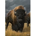 thumbnail image 1 of Toland Home Garden Where the Buffalo Roam Buffalo Flag Double Sided 28x40 Inch, 1 of 5