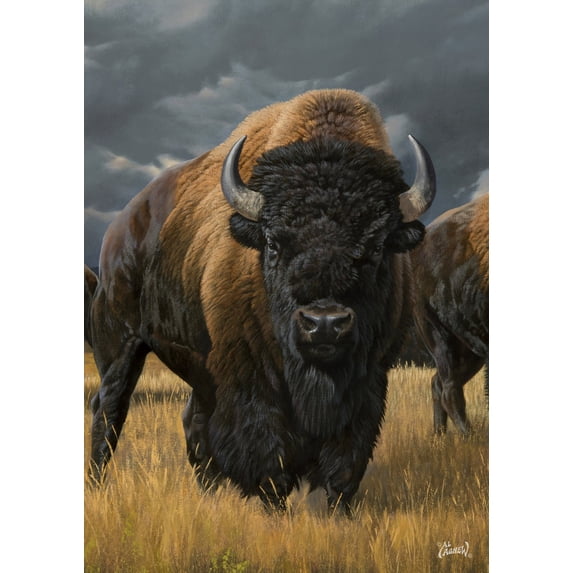 Toland Home Garden Where the Buffalo Roam Buffalo Flag Double Sided 28x40 Inch