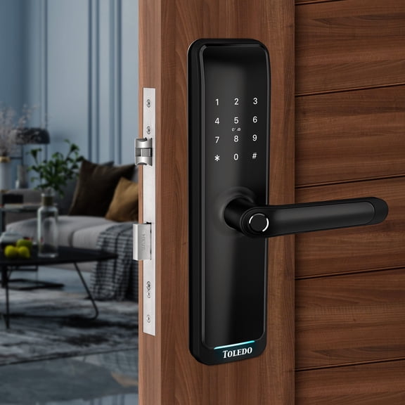 Toledo Mortise Nexus Lever Black Electronic Lock