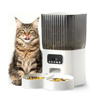 Unleashed Life Belmont Raised Feeder