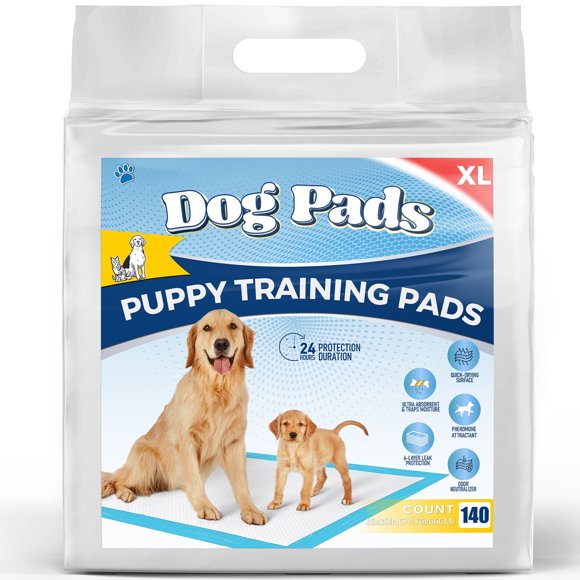 Dog Pee Pad Alternatives