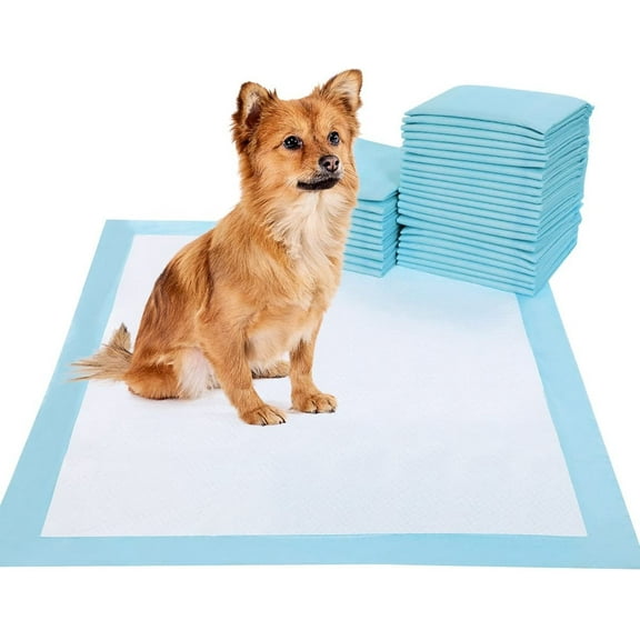 Tolobeve Pet Training Pads, Dog & Puppy Pads,L, 24x24 in,40 Count,Disposable Dog Pee Pads