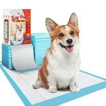 Tolobeve Puppy Training Pads, Large, 22x22 in, 65 Count Disposable Dog Pee Pet Pads