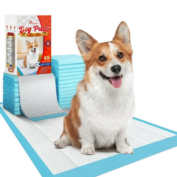 Tolobeve Puppy Training Pads, Large, 22x22 in, 65 Count Disposable Dog Pee Pet Pads