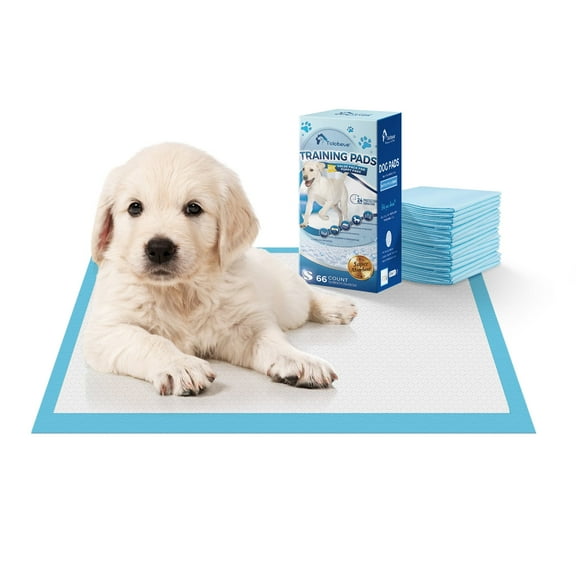 Tolobeve Senior Absorbent Training Pads, Leak-Proof Disposable Pee Pads, Small, 13x18 in, 66 Count