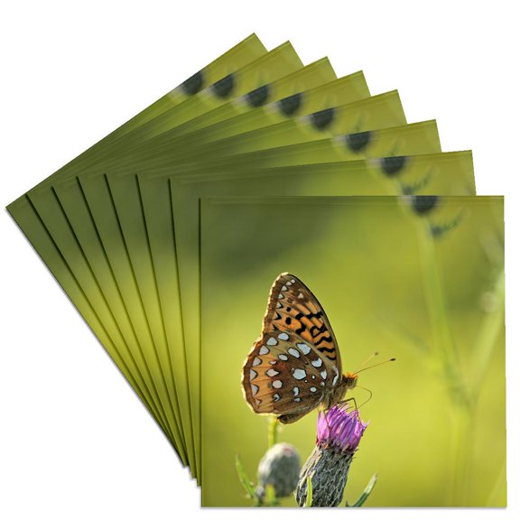 3drose, Tolstoi Tall Grass Prairie Great Spangled Fritillary Butterfly, Set of 8 Ceramic Tile Coasters