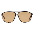 thumbnail image 2 of TOM FORD FT1026 BRUCE Sunglasses – Black Acetate Frame, Brown Lenses, 05E 2 of 5