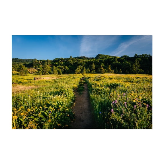 Tom McCall Nature Preserve - Oregon Photography Landscape Nature Scenic Floral Summer Rural Botanical Unframed Wall Art Print 4 x 6 inches