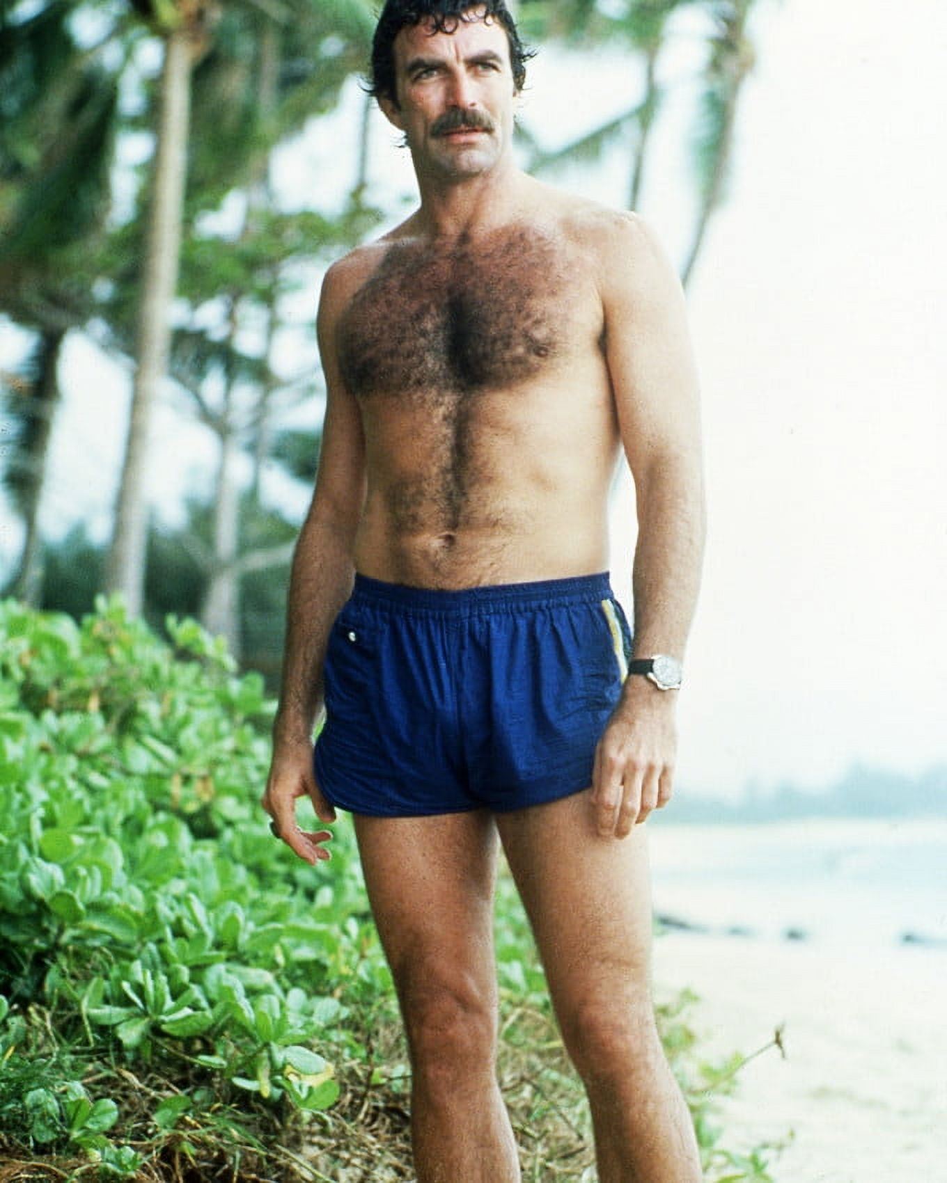 Tom Selleck 24X36 Classic Hollywood Poster Beefcake In Blue Shorts Bare Chest - Walmart.com