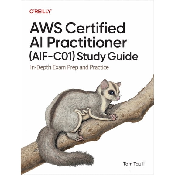 AWS Certified AI Practitioner (Aif-C01) Study Guide: In-Depth Exam Prep and Practice, (Paperback)