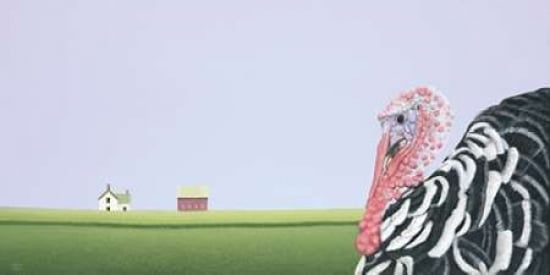 Tom Turkey Canvas Art - Sharon France (24 x 48)
