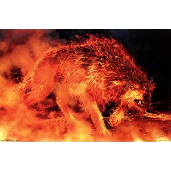 Tom Wood - Fire Stalker Poster Print (36 x 24)