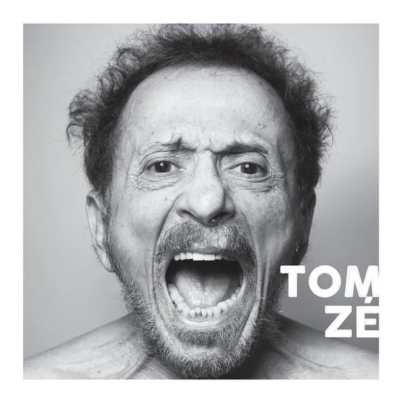 Tom Ze - Cadernos de Musica (Paperback)