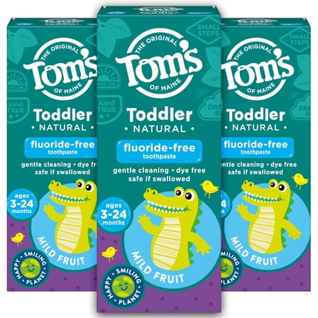 Tom's of Maine Fluoride-Free Toddler Training Toothpaste, Mild Fruit, 1.75 oz. 3-Pack (Packaging May Vary) C35