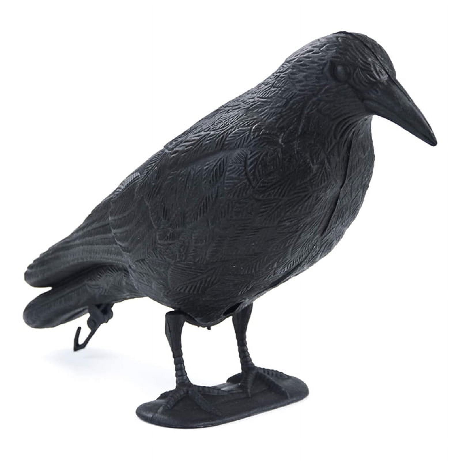 Toma Fake Crow Decoy Garden Yard Bird Deter Scarer Pest Deterrent