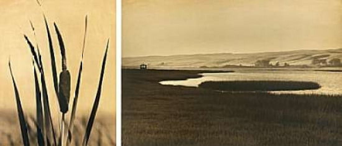 Tomales Bay #2 Canvas Art - Jan Gauthier (10 x 20)