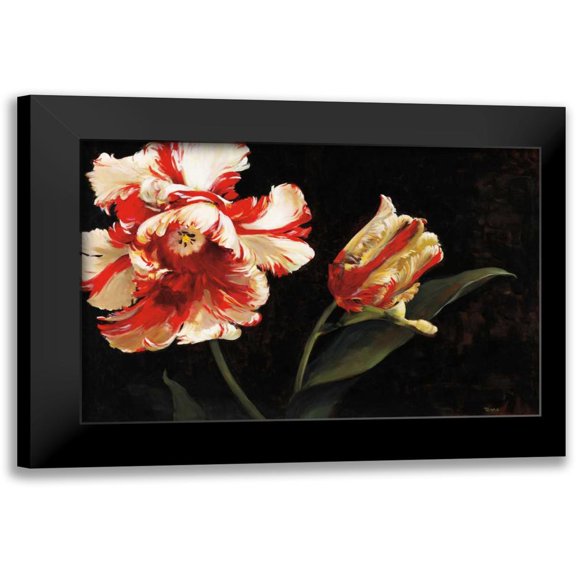 Tomao, Jennie 14x11 Black Modern Framed Museum Art Print Titled - Resplendent