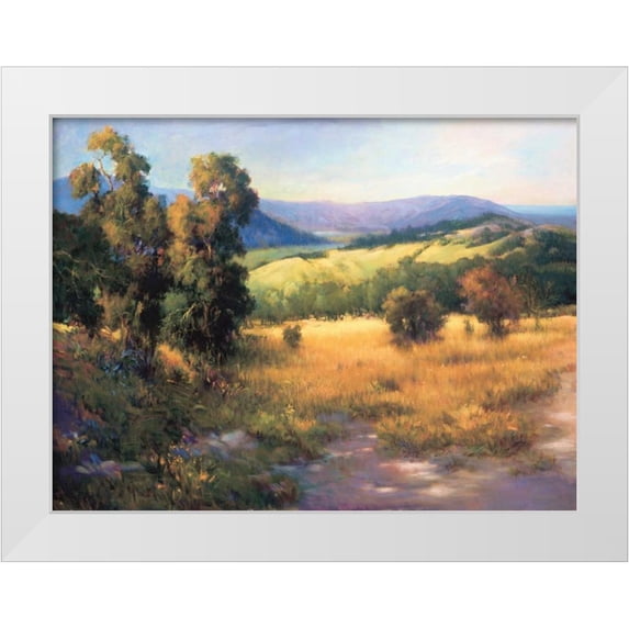 Tomao, Jennie 14x12 White Modern Wood Framed Museum Art Print Titled - Malibu Canyon