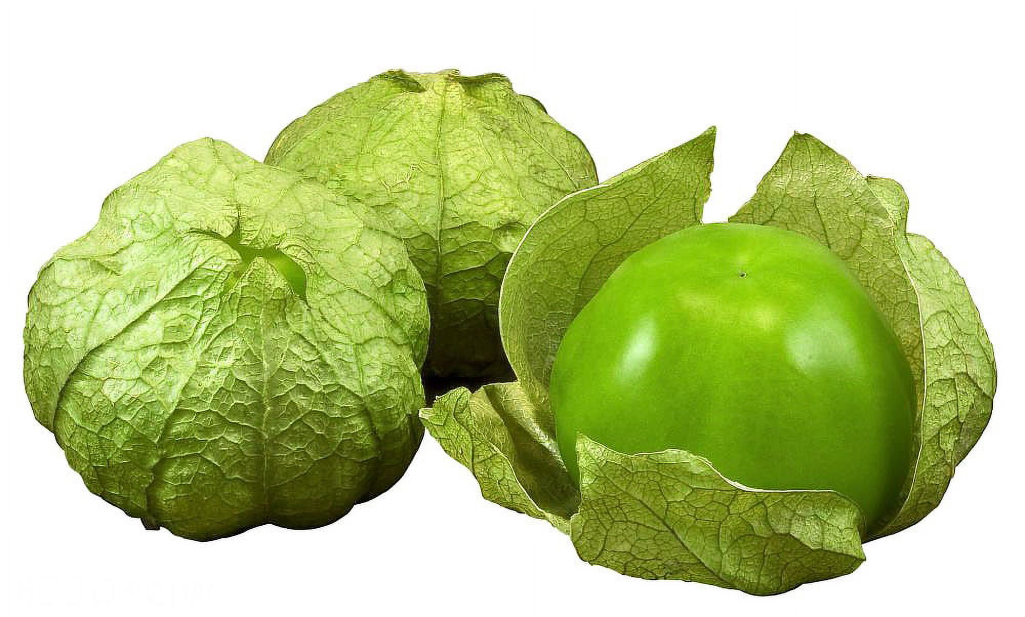 Tomatillo Plant - Husk Tomato - 4" Pot