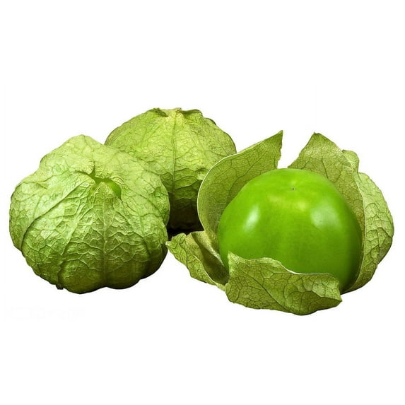 Tomatillo Plant - Husk Tomato - 4" Pot