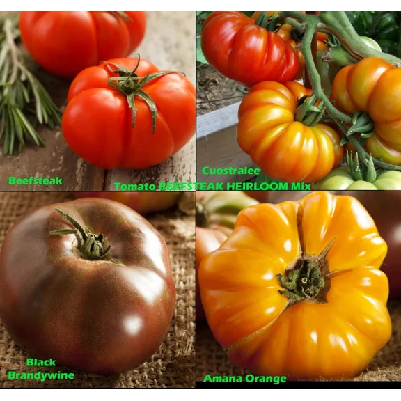 Tomato Beefsteak Brandywine Pink Cherokee Purple Seed Bundle Heirloom Garden Non-GMO