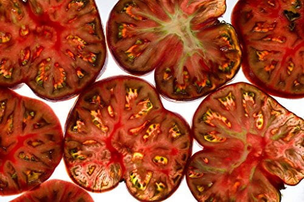Tomato Black Sea Man Great Heirloom Garden Vegetable by Seed Kingdom Bulk 1 OZ Seeds