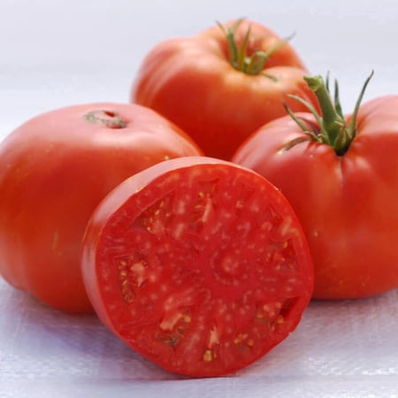 Tomato Brandywine Red Seed - 50 Seeds