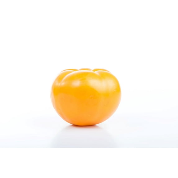 Tomato Brandywine Yellow Seeds/ Annual/ Full Sun/160 Seeds 1/2 Gram/ Zellajake Farm and Garden - B222