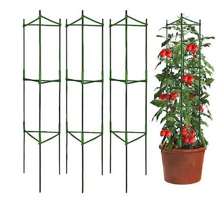 Tomato Cage Garden Trellis Indoor Plant Trellis Plants Climbing Frame