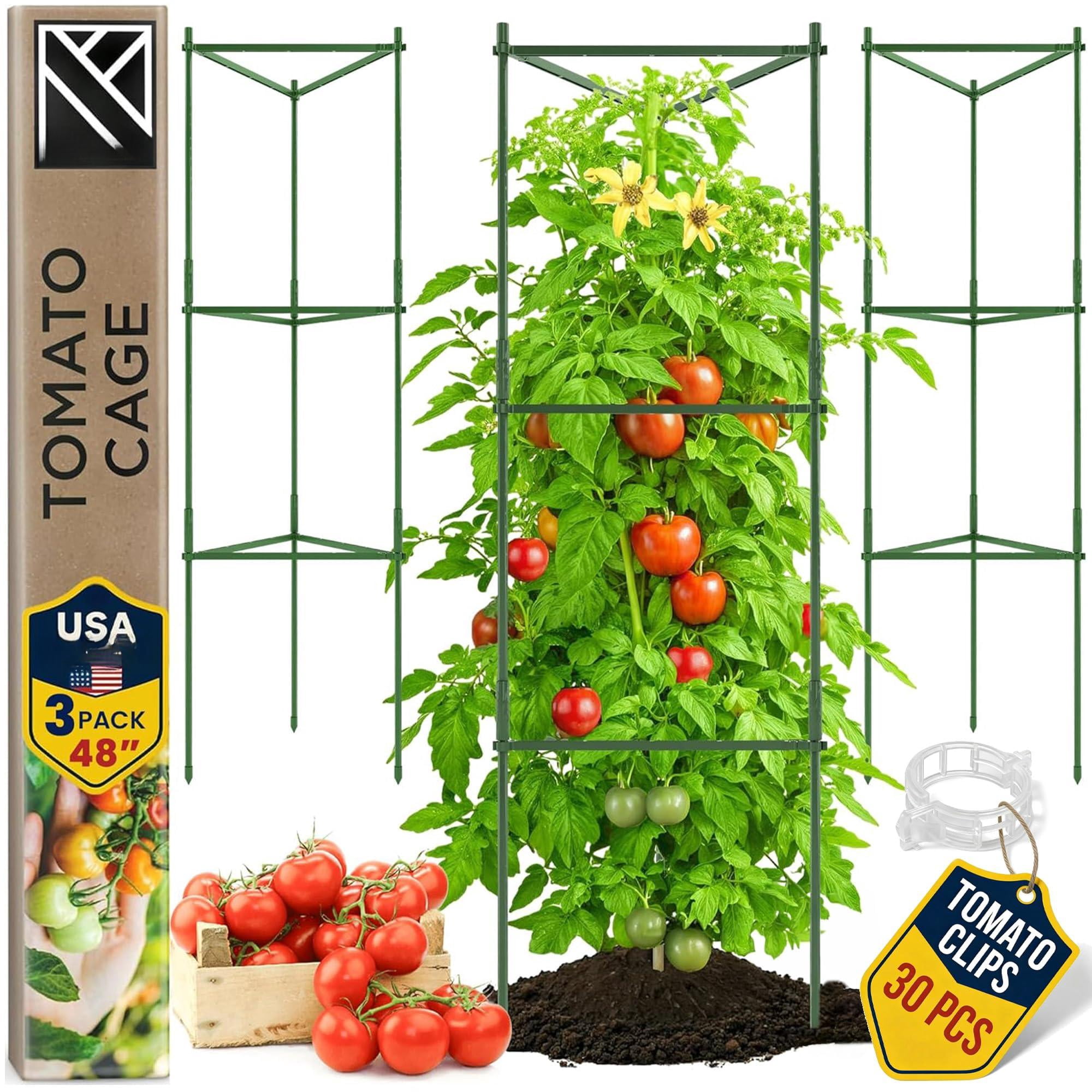 Tomato Cage - Large Trellis Stakes And Plant Support Structures For Vegetables Climbing Plants Tall Cages Garden  Pots Raised Bed Outdoor Supplies (3 Pack Up To 48")