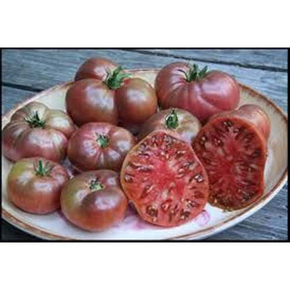 Seed Kingdom 100 Cherokee Purple Tomato Vegetable Seeds