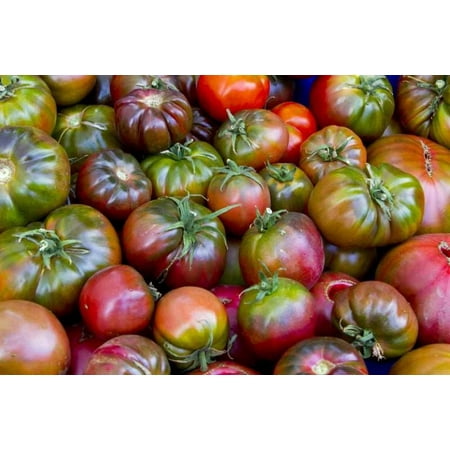 Tomato 'Cherokee Purple' Heirloom Variety-Starter Plant