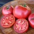 thumbnail image 1 of Tomato Damsel F1 Seed, 1 of 3