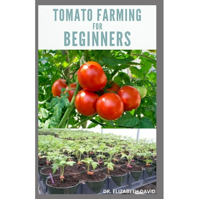Tomato Farming For Beginners Beginners Guide To Growing Tomatoes Tomato Farming For Beginners Beginners Guide To Growing Tomatoes
